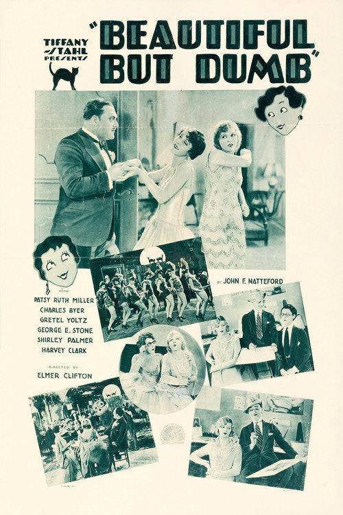 Beautiful But Dumb 1928 official movie poster