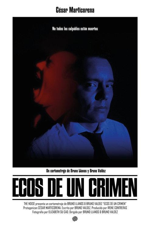 Echoes Of A Crime 2025 official movie poster
