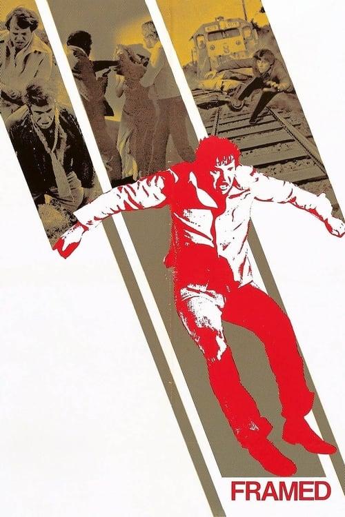 Framed 1975 official movie poster