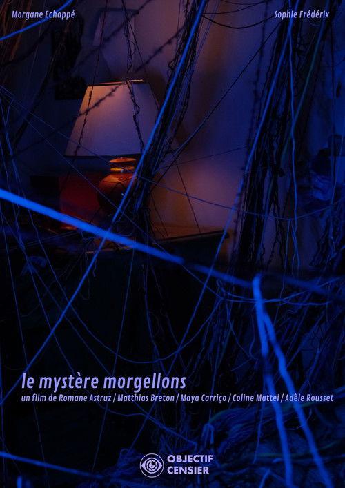 The Mystery of Morgellons 2026 official movie poster