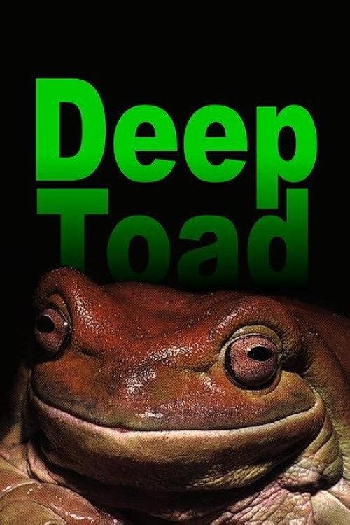 Deep Toad 2003 official movie poster