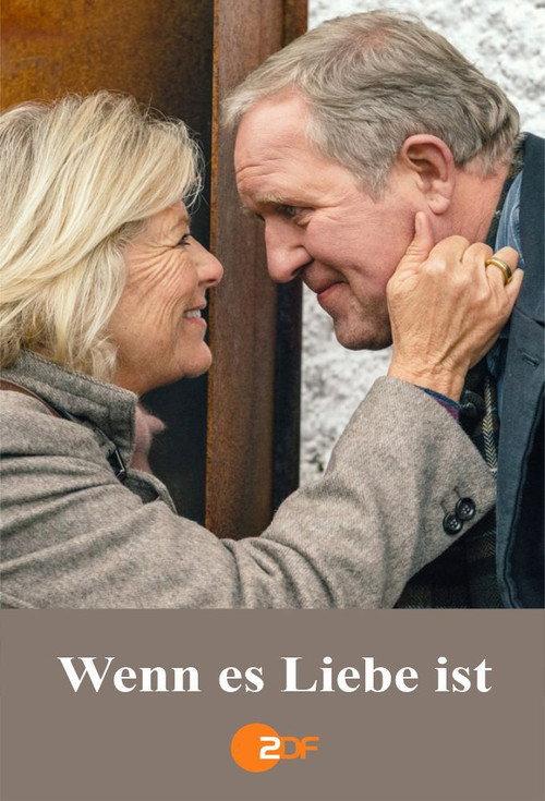 Wenn es Liebe ist 2016 official movie poster