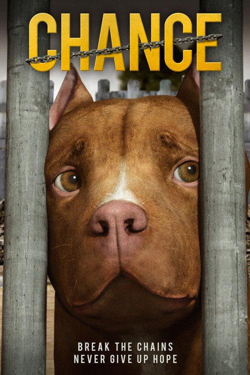 Chance 2019 official movie poster