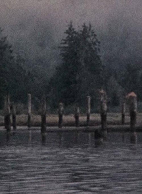 Narrows Inlet 1980 official movie poster