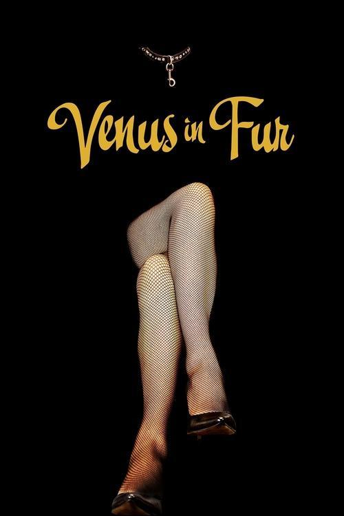 Venus in Fur 2013 official movie poster