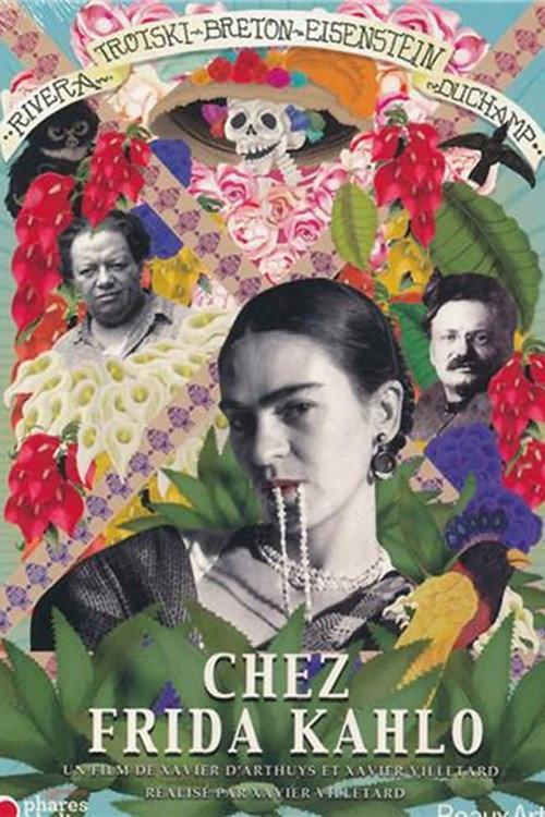 Chez Frida Kahlo 2011 official movie poster