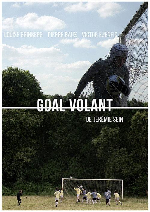Goal Volant 2016 official movie poster