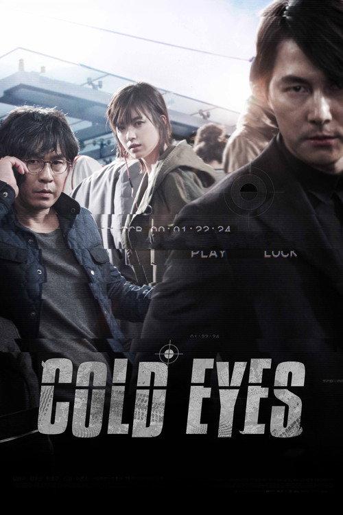 Cold Eyes 2013 official movie poster