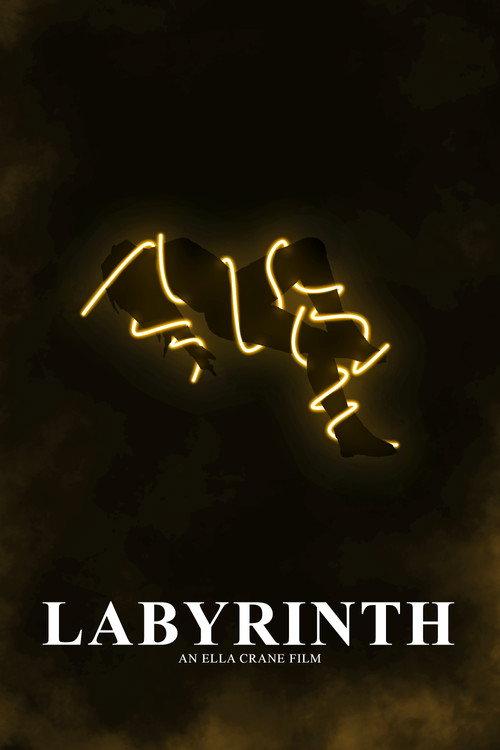 Labyrinth 2024 official movie poster
