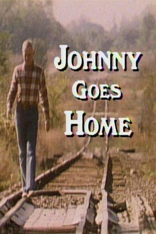 Johnny Goes Home 1982 official movie poster