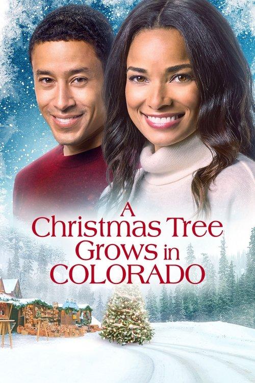 A Christmas Tree Grows in Colorado 2020 official movie poster