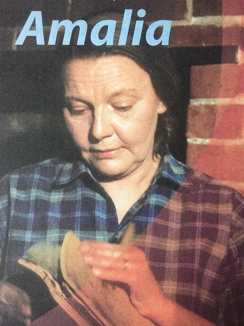 Amalia 1973 official movie poster