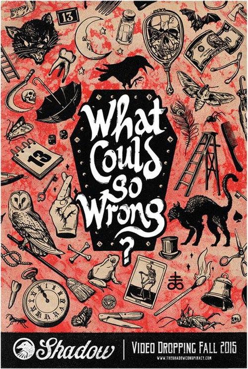 What Could Go Wrong? 2016 official movie poster
