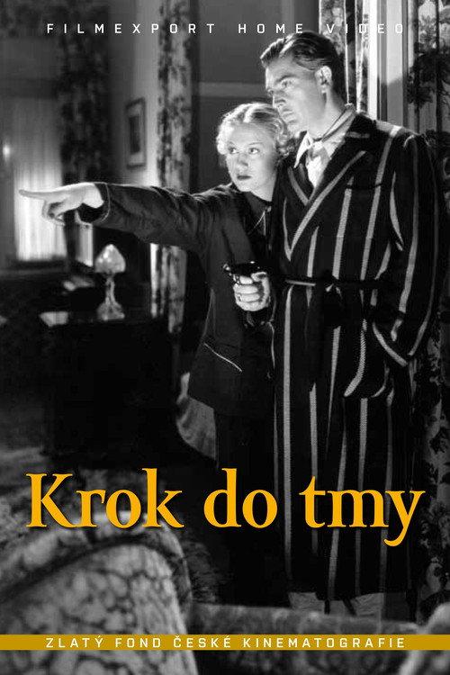 A Step into the Darkness 1938 official movie poster