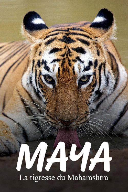 Maya, la tigresse du Maharashtra 2020 official movie poster