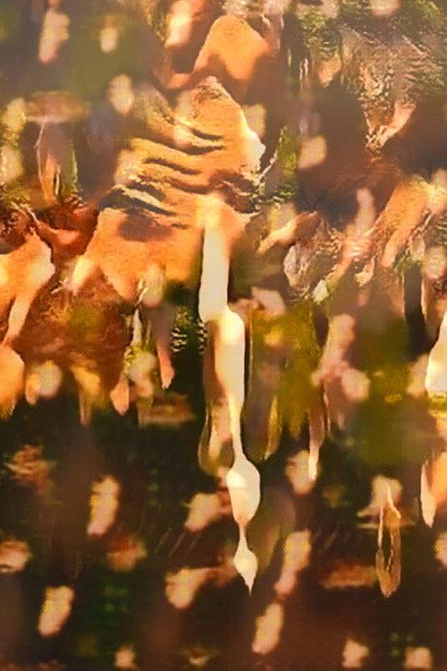 The Body is a Gesture 2021 official movie poster