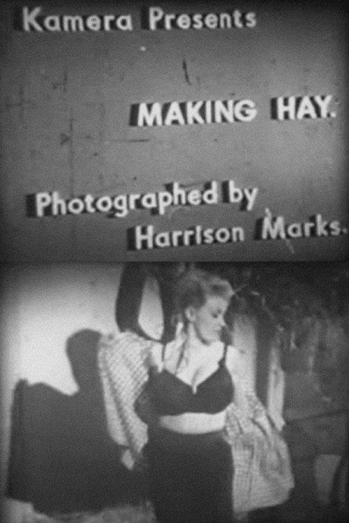 Making Hay 1960 official movie poster