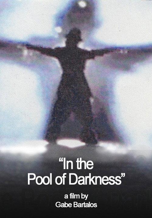 In the Pool of Darkness 1995 official movie poster
