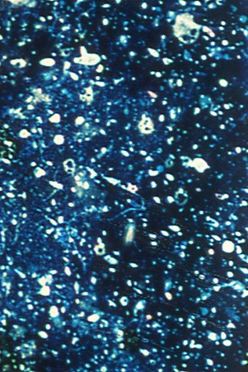 Ephemeral Solidity 1993 official movie poster