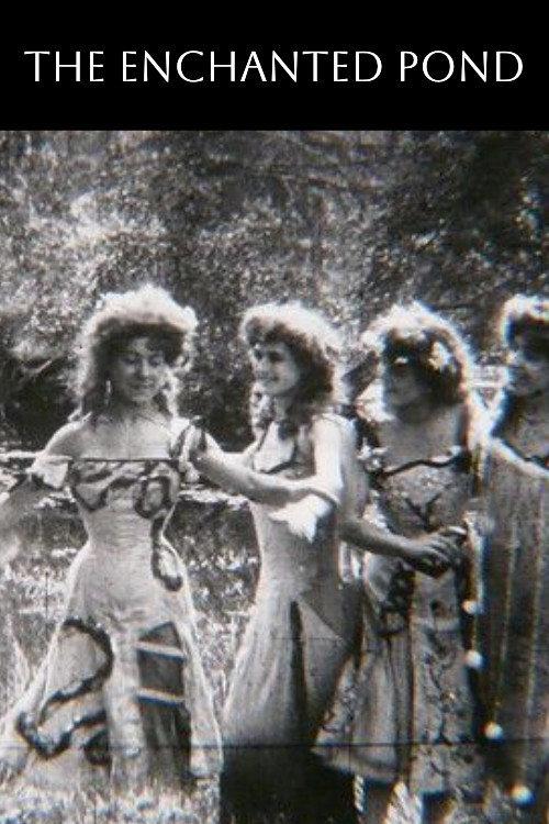 The Enchanted Pond 1907 official movie poster