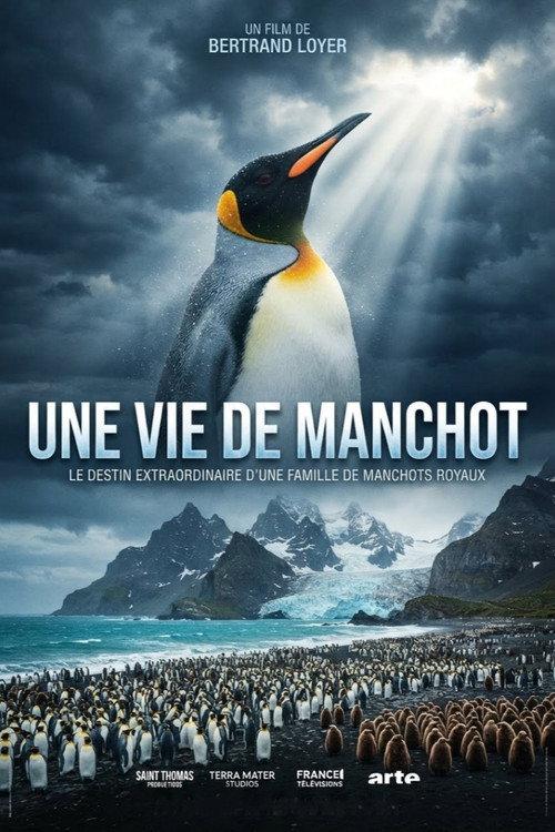 Une vie de manchot 2024 official movie poster