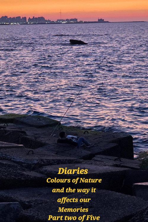 Diaries: Colours of Nature and the Way It Affects Our Memories. 2026 official movie poster