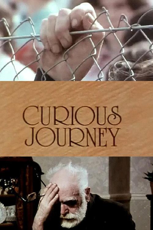 Curious Journey 1978 official movie poster