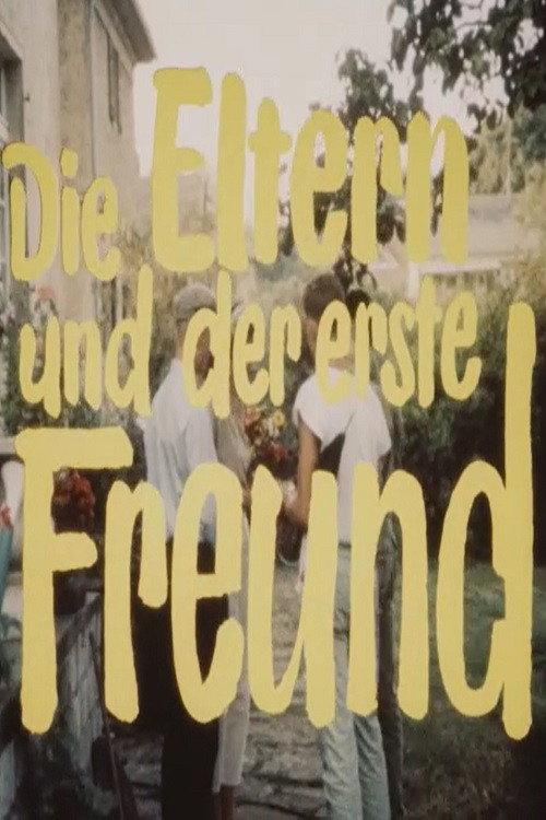 Die Eltern und der erste Freund 1988 official movie poster