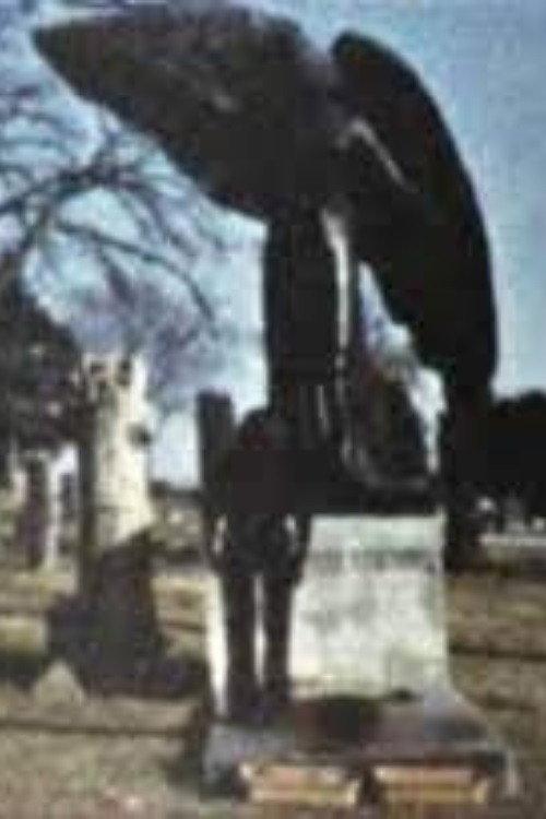 Black Angel 1975 official movie poster