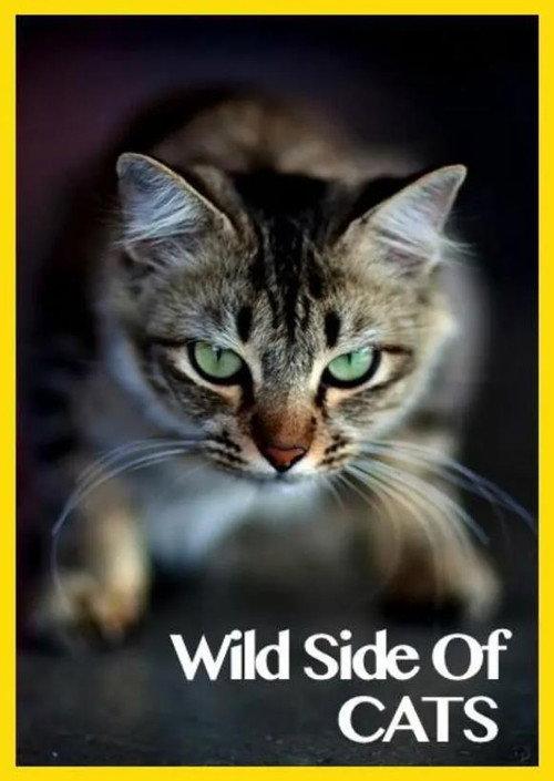 Wild Side of Cats 2013 official movie poster