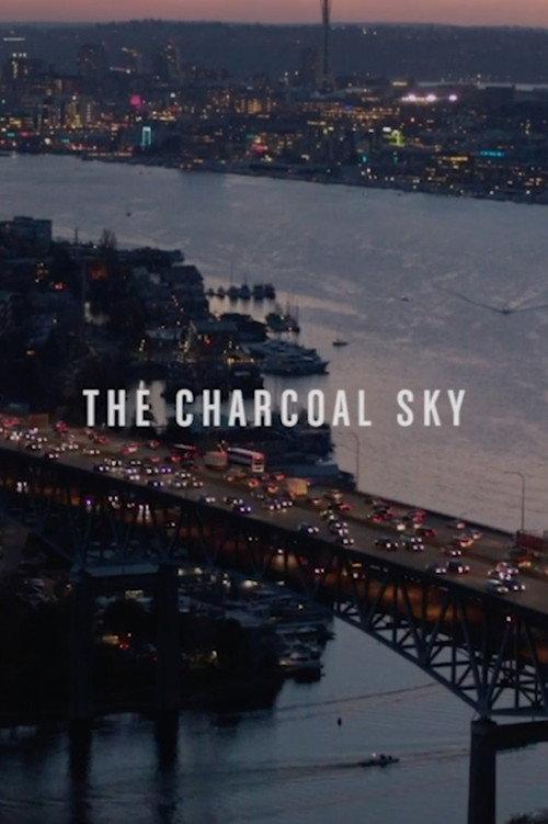 The Charcoal Sky: Chapter 5 2017 official movie poster