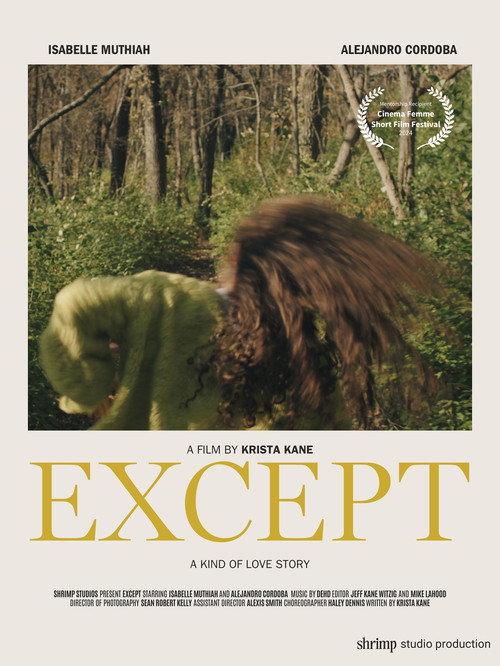 Except official movie poster