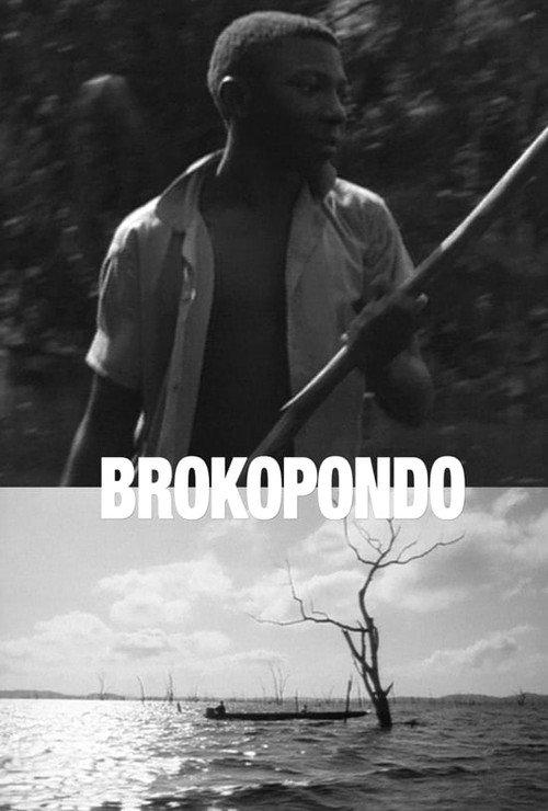 Brokopondo: Stories of a Drowned Land 1994 official movie poster
