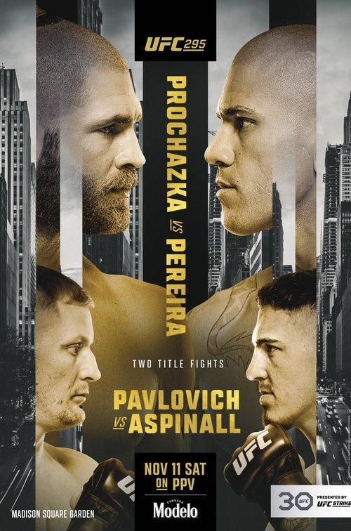 UFC 295: Prochazka vs. Pereira 2023 official movie poster