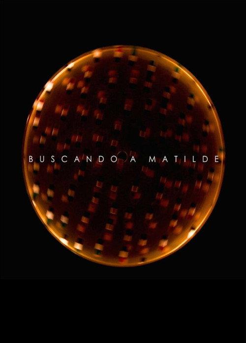 Looking for Matilde 2013 official movie poster
