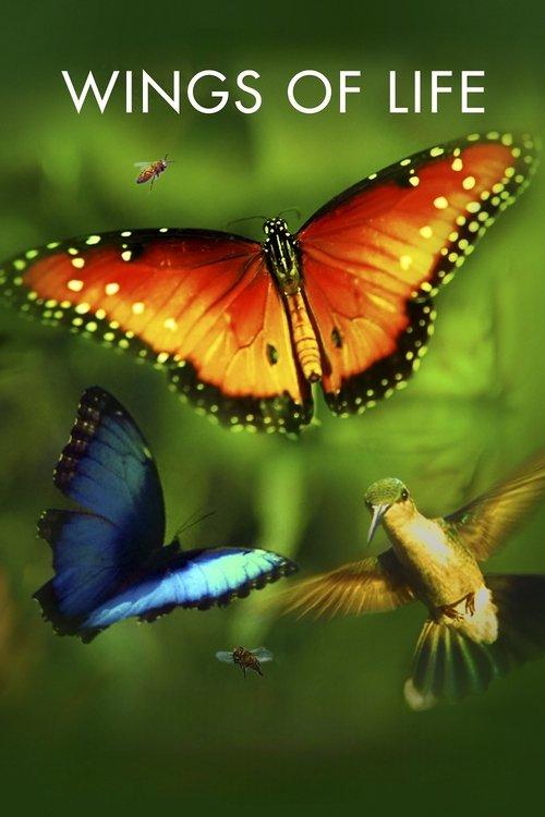 Wings of Life 2011 official movie poster