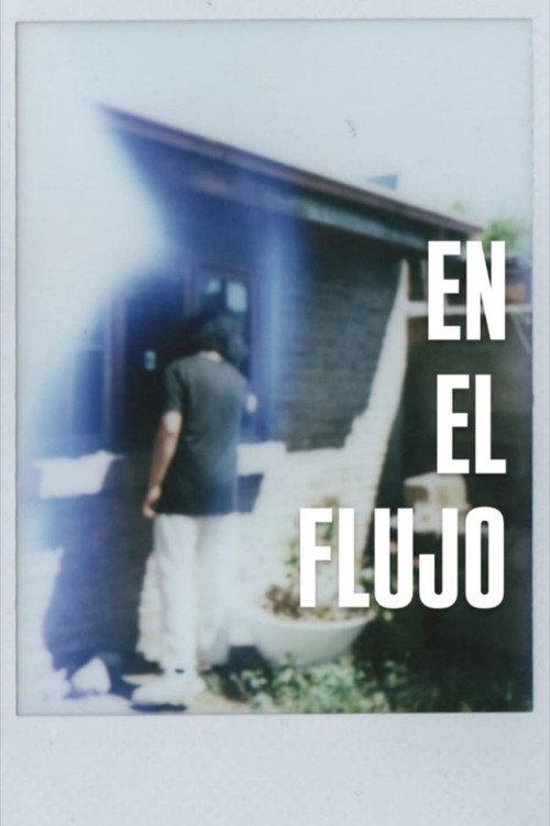 In the Flow 2025 official movie poster