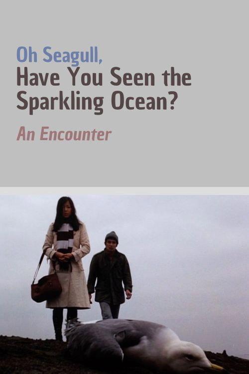 Oh Seagull, Have You Seen the Sparkling Ocean? An Encounter 1975 official movie poster