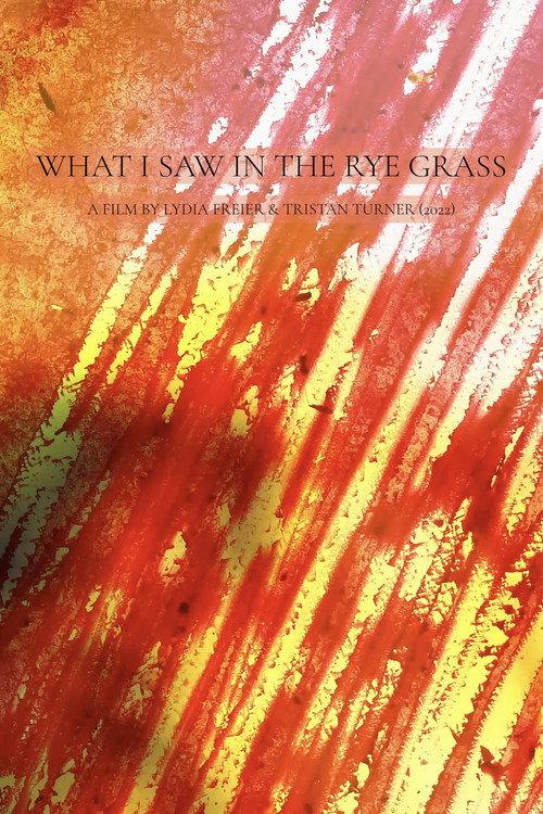 What I Saw in the Rye Grass 2022 official movie poster