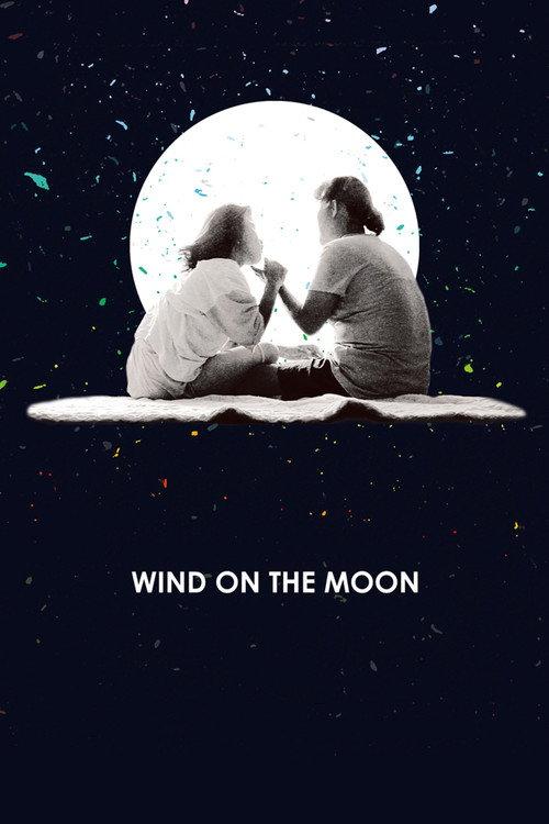 Wind on the Moon 2016 official movie poster