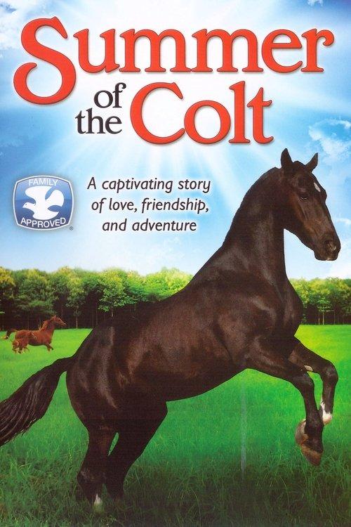 Summer of the Colt 1991 official movie poster