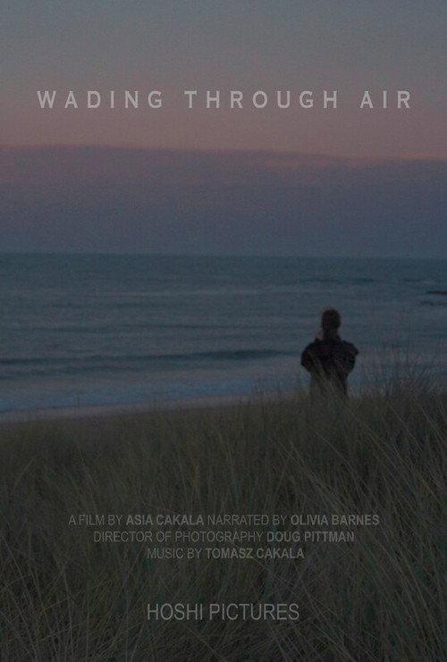 Wading Through Air official movie poster