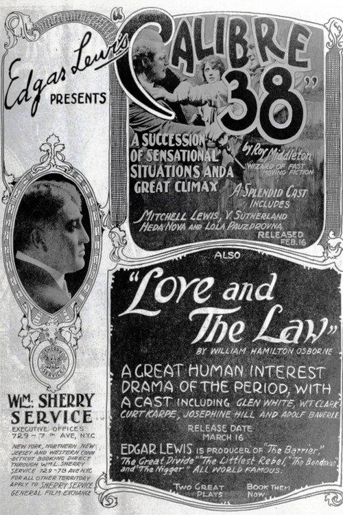 Love and the Law 1919 official movie poster