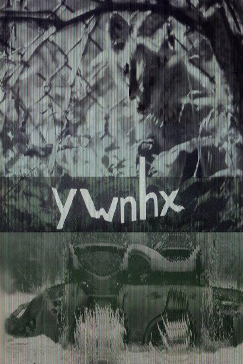ywnhx 2023 official movie poster