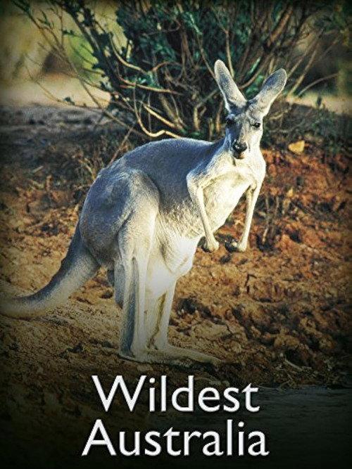 Wildest Australia 1996 official movie poster