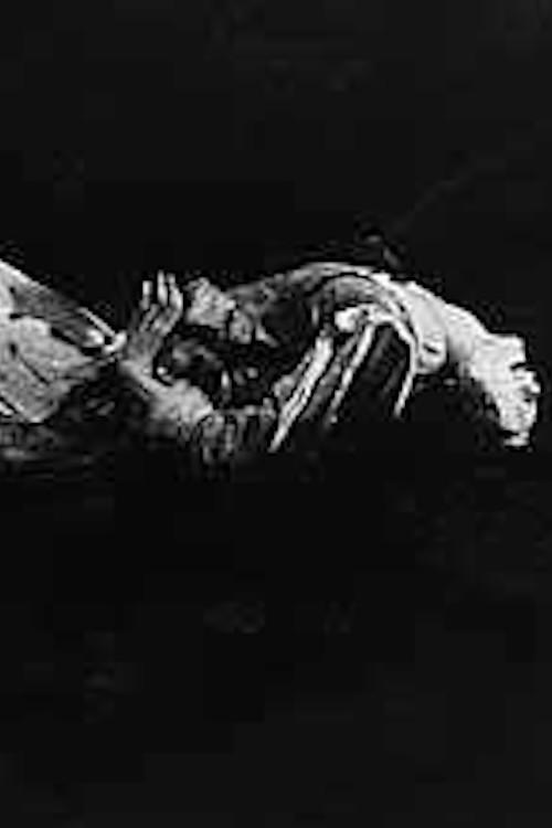 Knucklebones: Self-Sustaining Members of the Human Species 1992 official movie poster