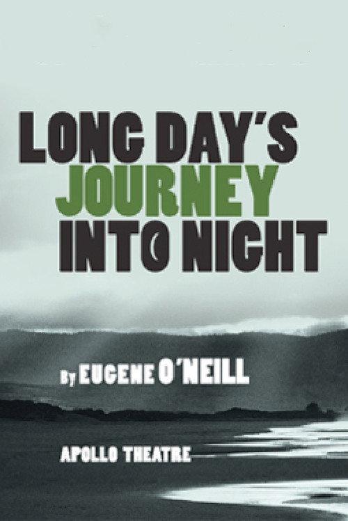 Long Day's Journey Into Night 2014 official movie poster