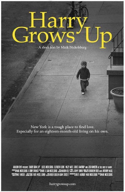 Harry Grows Up 2012 official movie poster