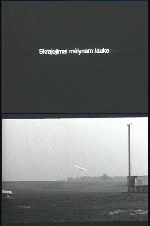 Flying Over the Blue Fields 1996 official movie poster