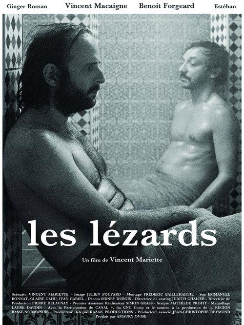 The Lizards 2013 official movie poster